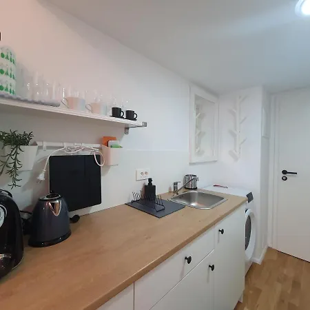 Chic Wendy In Centre Tour As Ljubljana